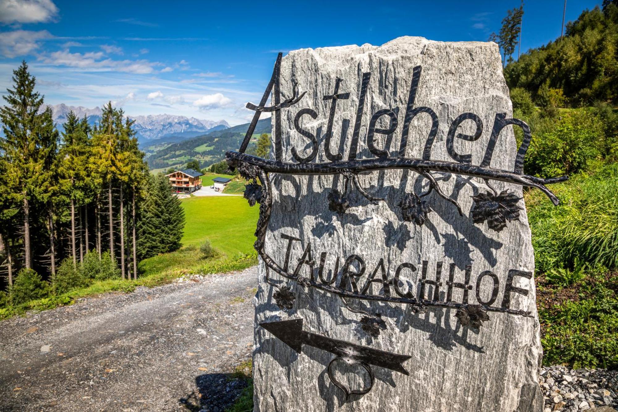 Taurachhof Astlehen Apartamento Alpendorf  Exterior foto
